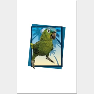 blue-crowned parrot Posters and Art